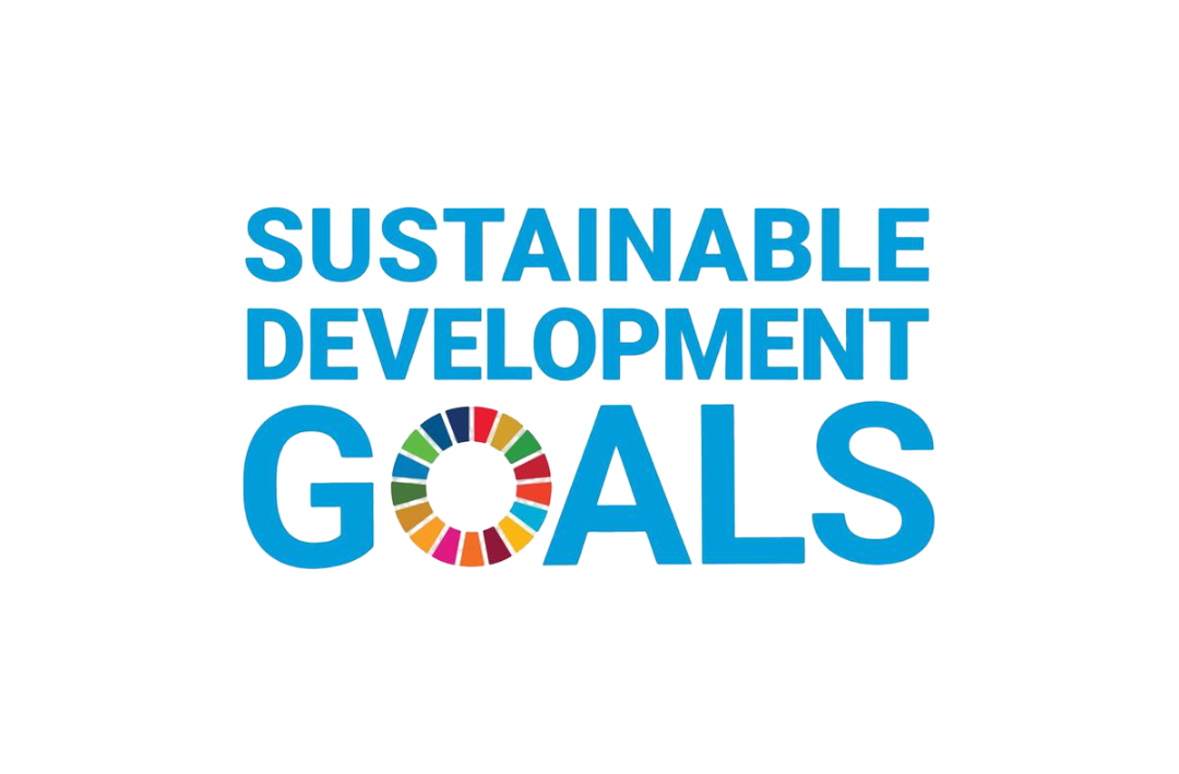 SDG Logo